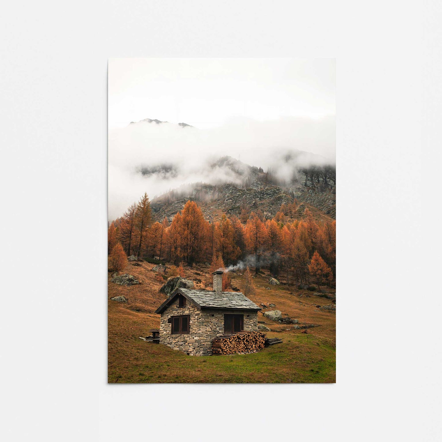 [Color:Rolled Print], Picture of close up of art