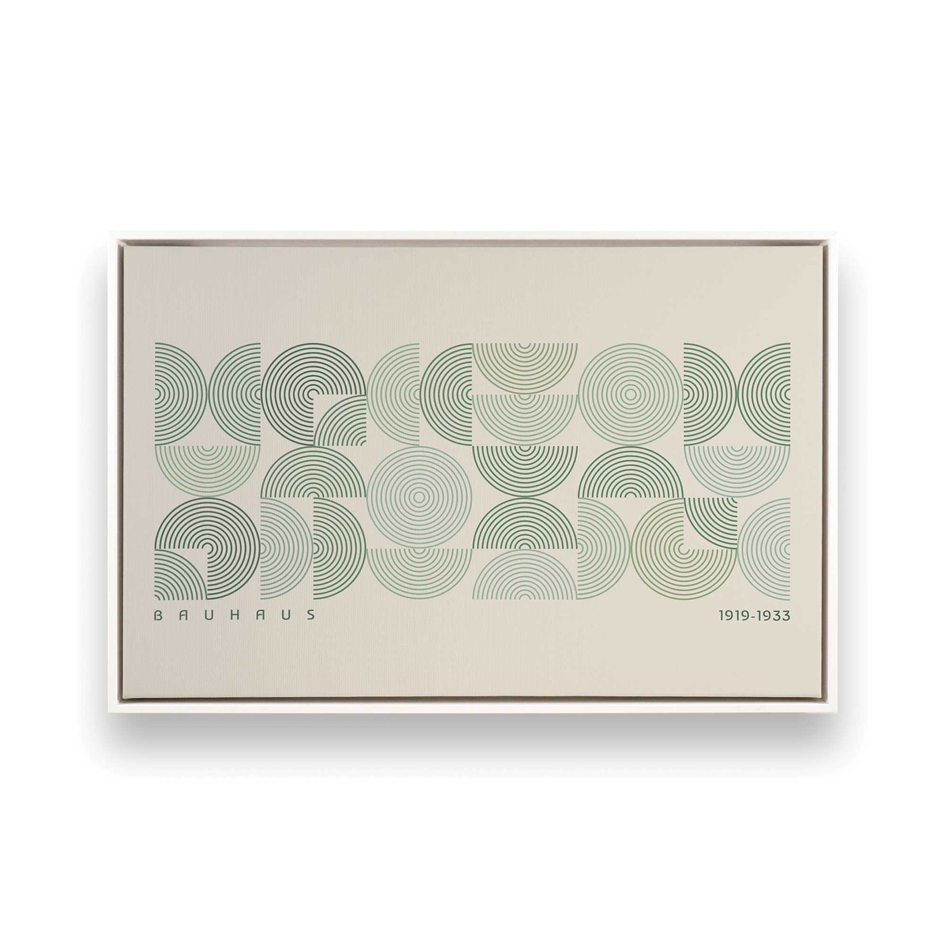 [Color:Opaque White], Picture of art in a White frame