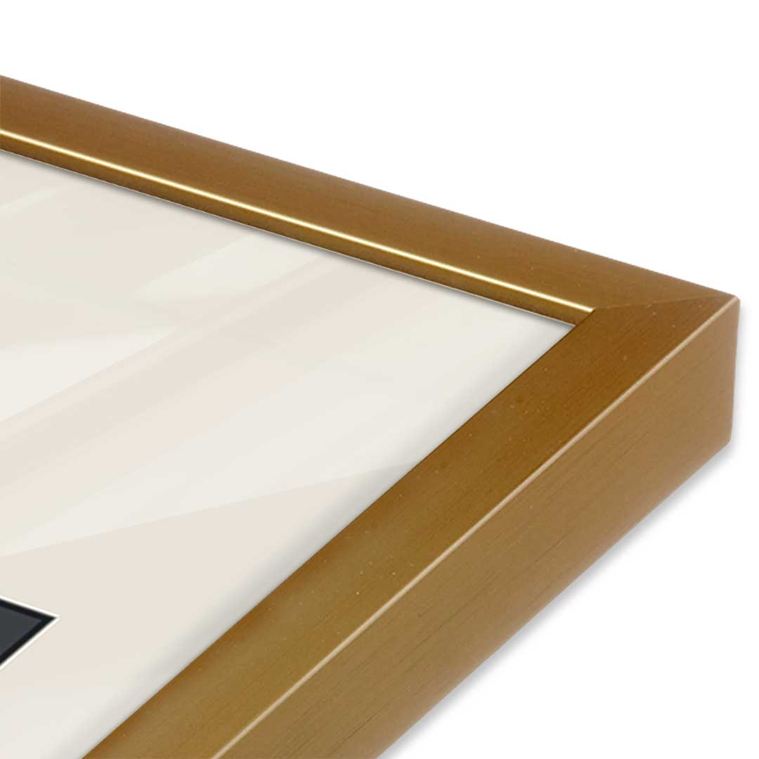 [Color:Polished Gold], Picture of art in a Polished Gold frame at an angle