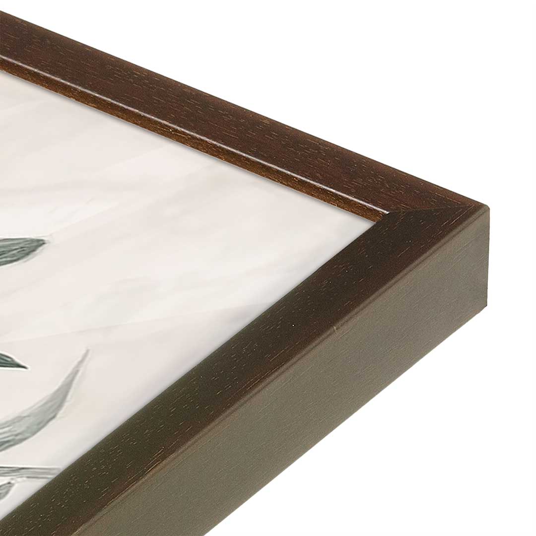 [Color:Belvinder Brown], Picture of art in a Belvinder Brown frame at an angle
