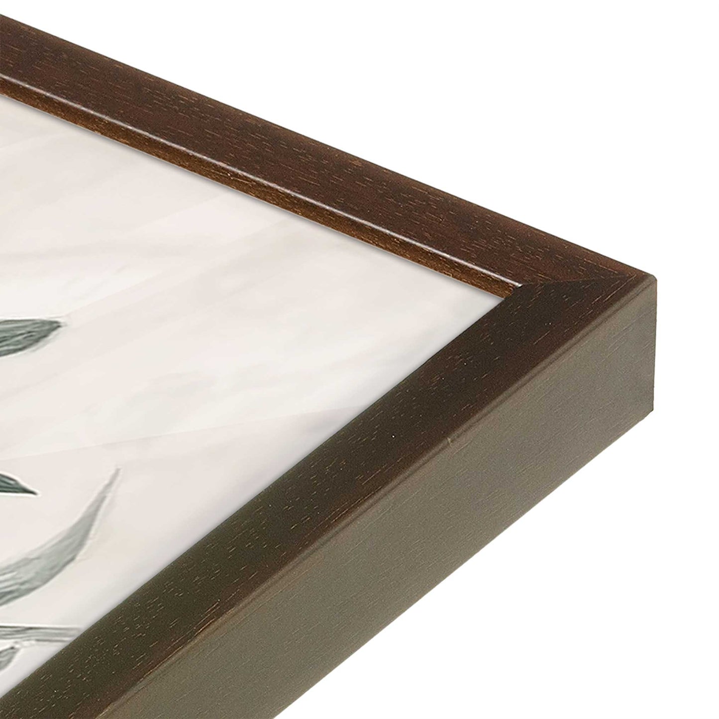 [Color:Belvinder Brown], Picture of art in a Belvinder Brown frame of the corner