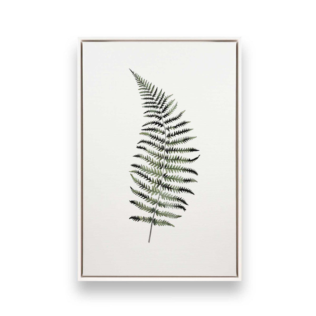 [Color:Opaque White], Picture of art in a White frame