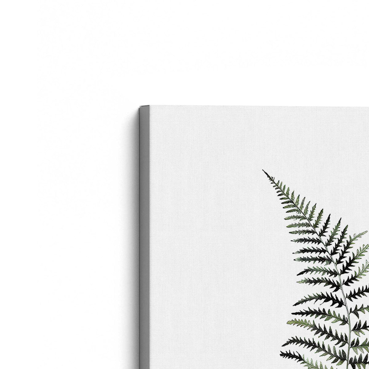 [Color:Stretched Canvas], Picture of the corner of the art
