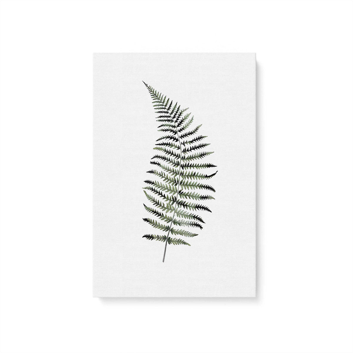 [Color:Stretched Canvas], Picture of art