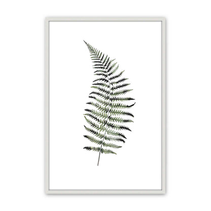 [Color:Opaque White], Picture of art in a Polished Chrome frame