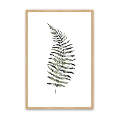 [Color:American Maple], Picture of art in a Polished Chrome frame