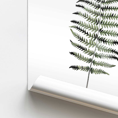 Fern in Shadow Print