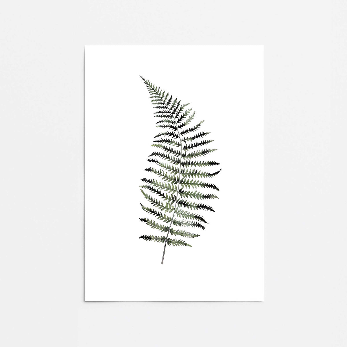 [Color:Rolled Print], Picture of close up of art