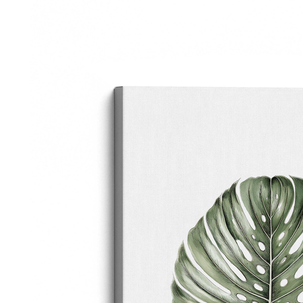 [Color:Stretched Canvas], Picture of the corner of the art