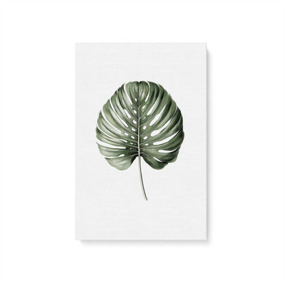 [Color:Stretched Canvas], Picture of art