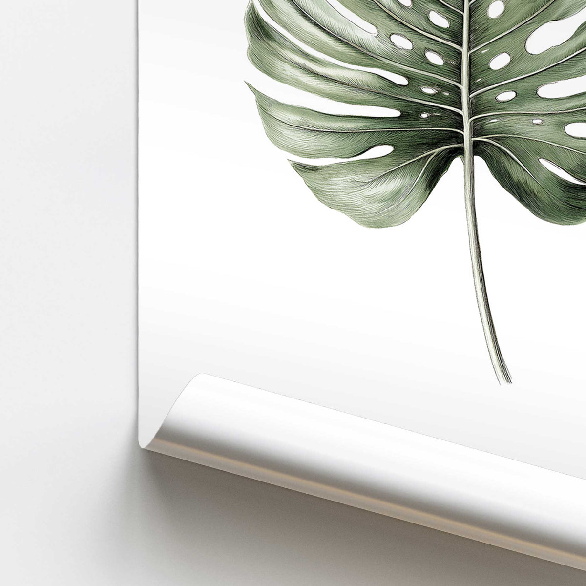 Monstera in Focus Print