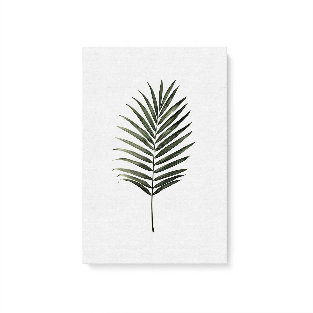 [Color:Stretched Canvas], Picture of art