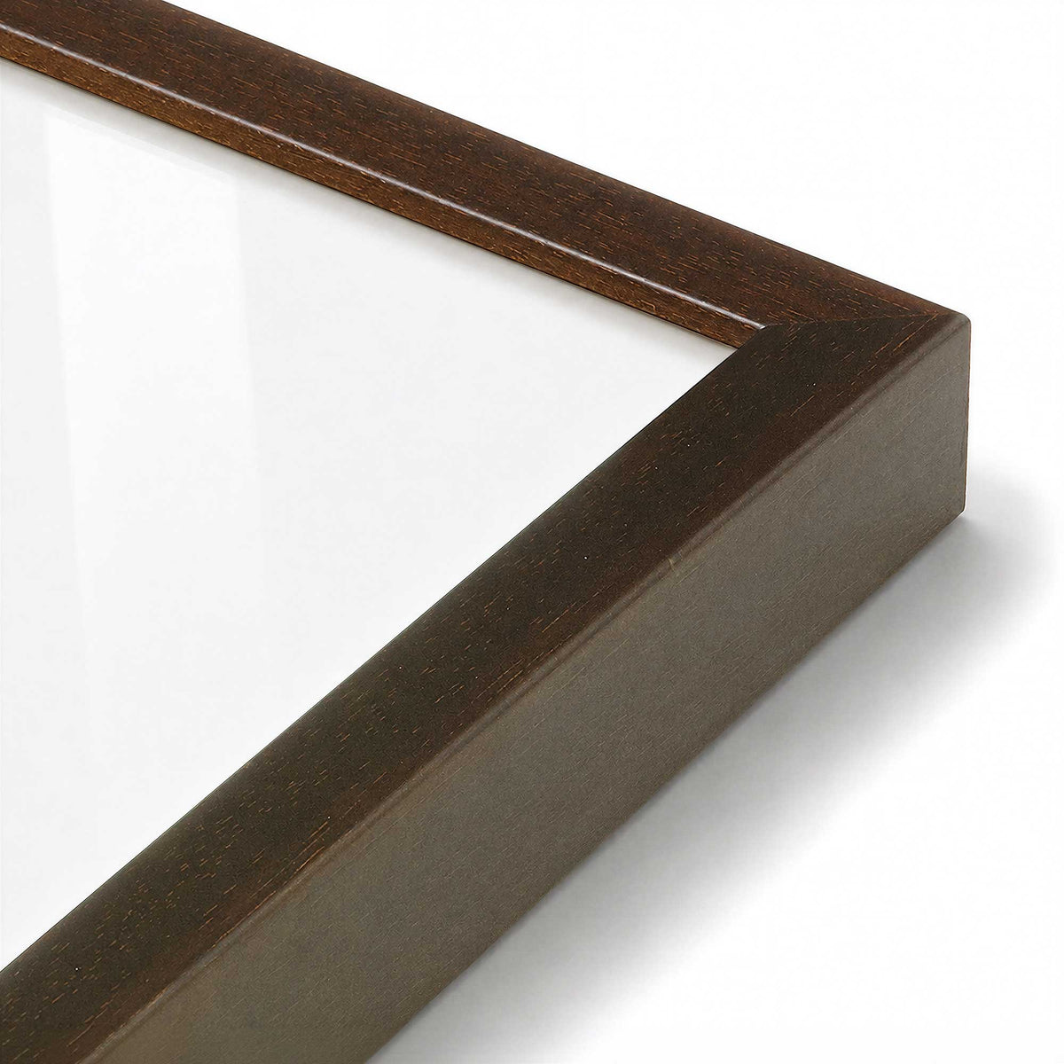 [Color:Belvinder Brown], Picture of art in a Polished Chrome frame at an angle