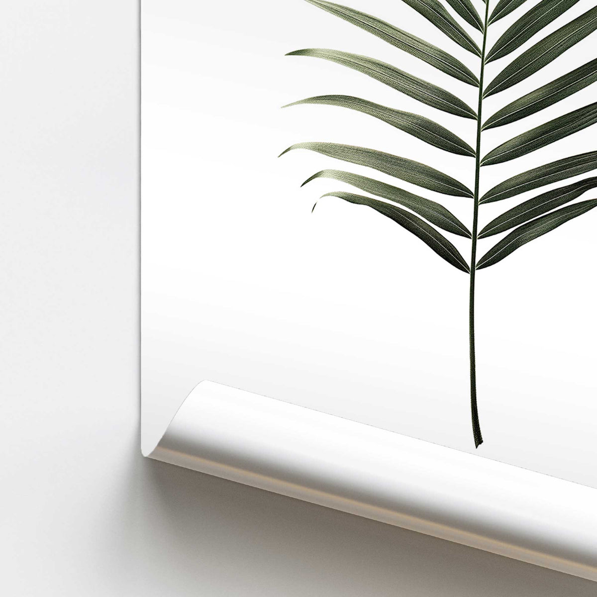 Solitary Palm Frond Print