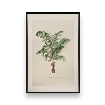 [Color:Satin Black], Picture of art in a Satin Black frame