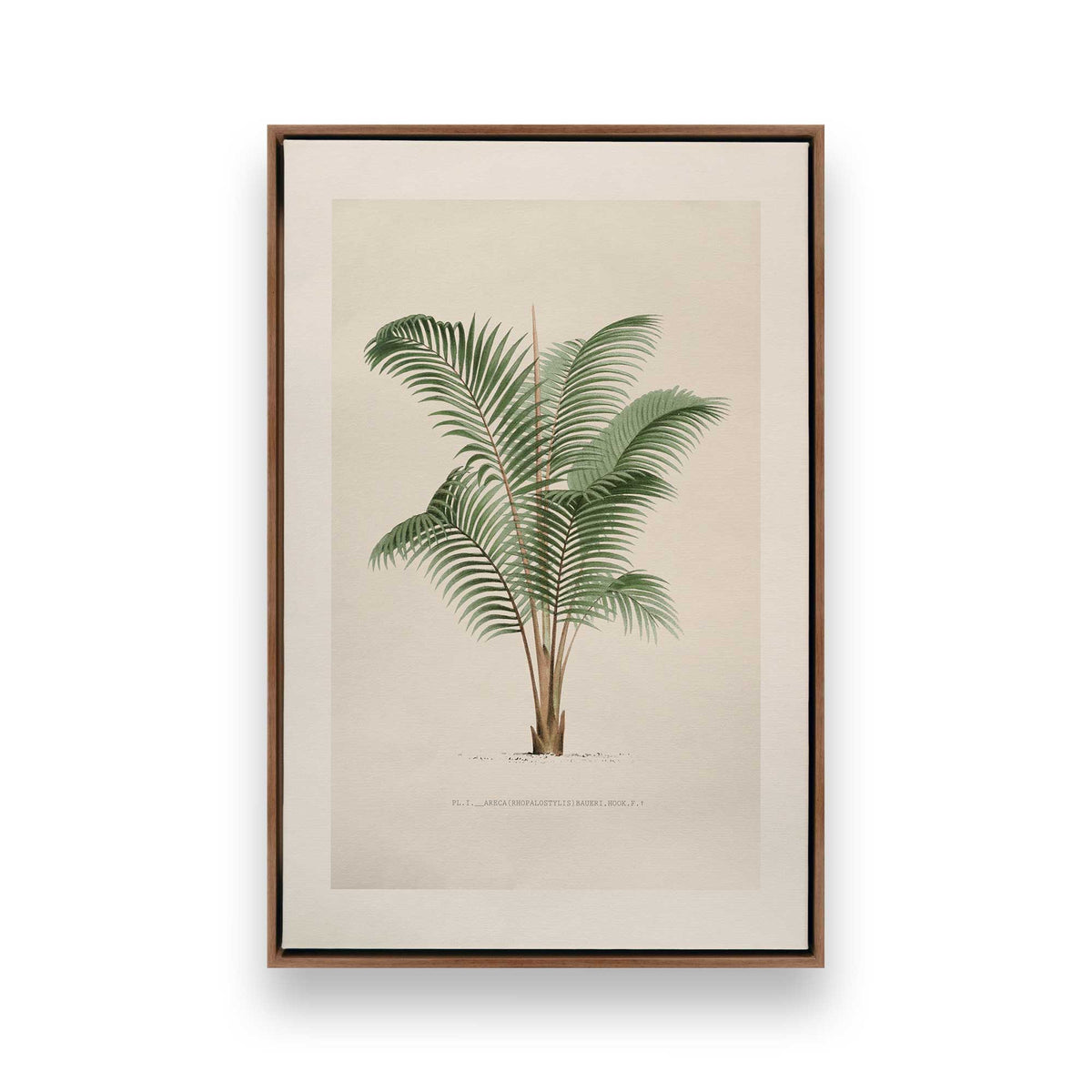 [Color:Walnut], Picture of art in a Walnut frame