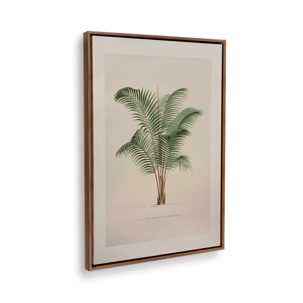 [Color:Walnut], Picture of the corner of the art