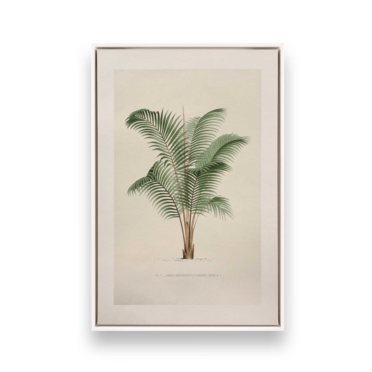 [Color:Opaque White], Picture of art in a White frame