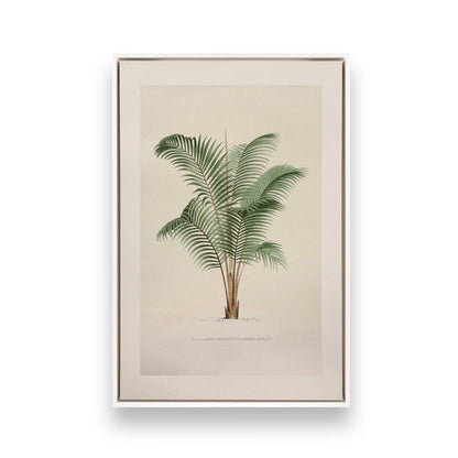 [Color:Opaque White], Picture of art in a White frame