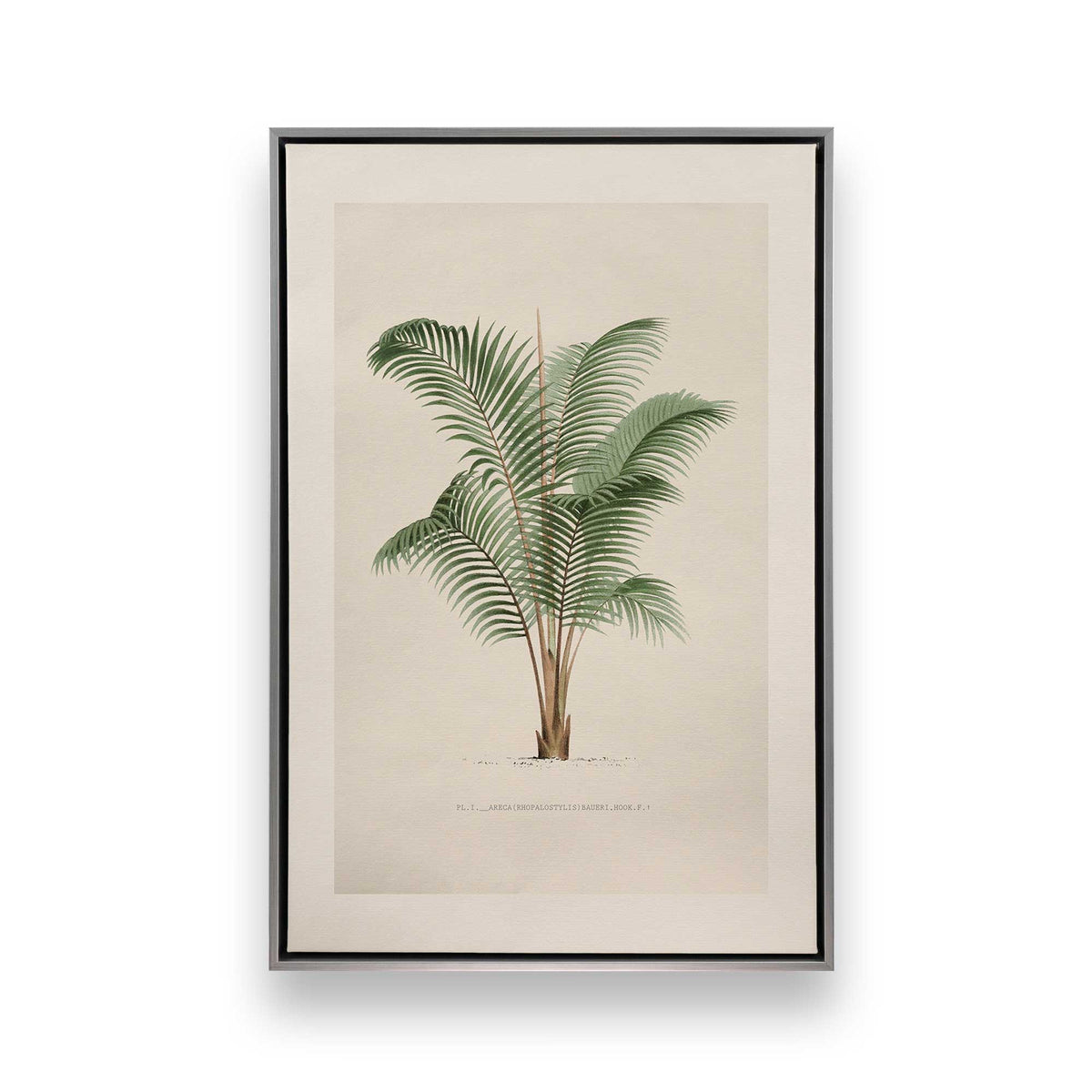 [Color:Polished Chrome], Picture of art in a Polished Chrome frame