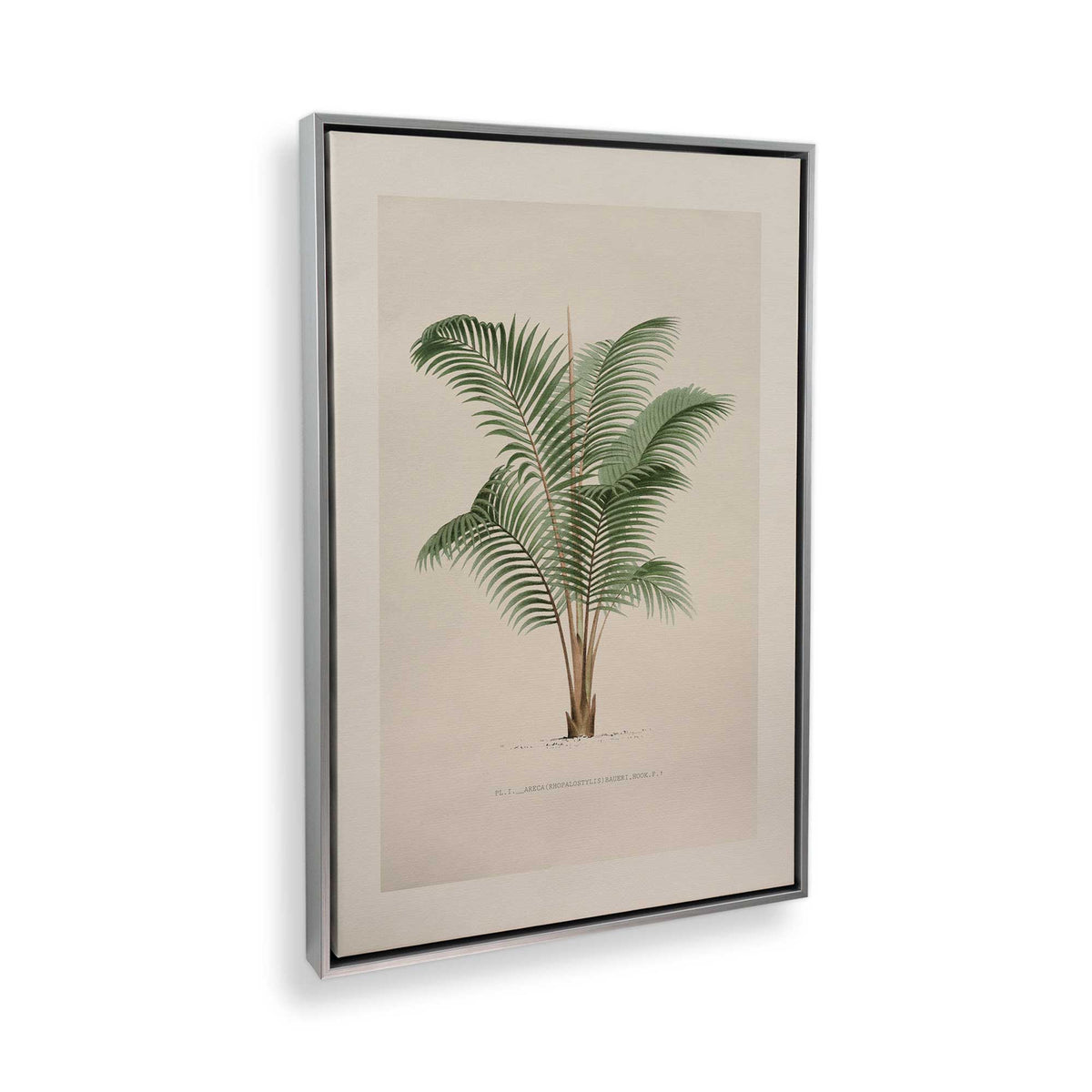 [Color:Polished Chrome], Picture of the corner of the art