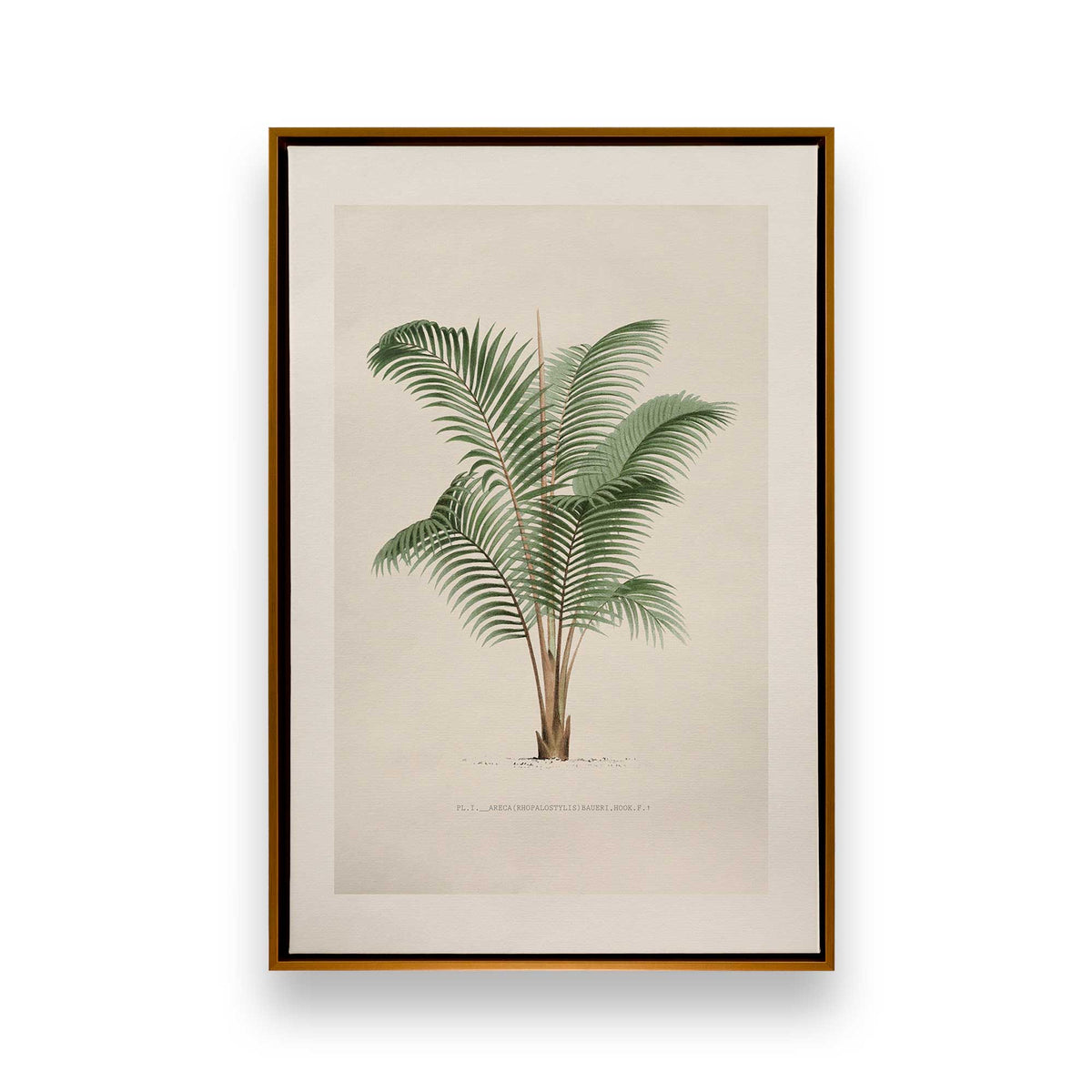 [Color:Polished Gold], Picture of art in a Polished Gold frame