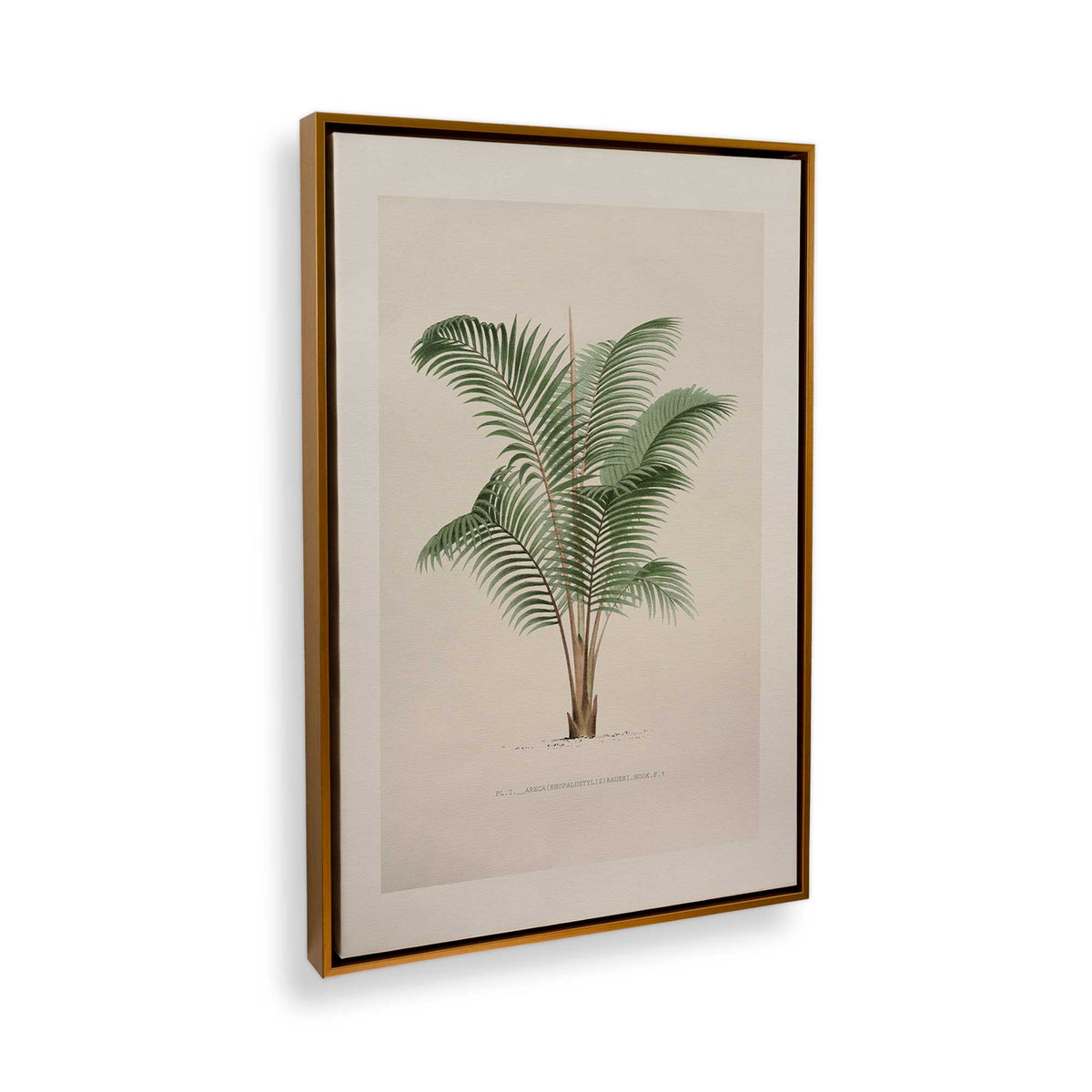[Color:Polished Gold], Picture of the corner of the art