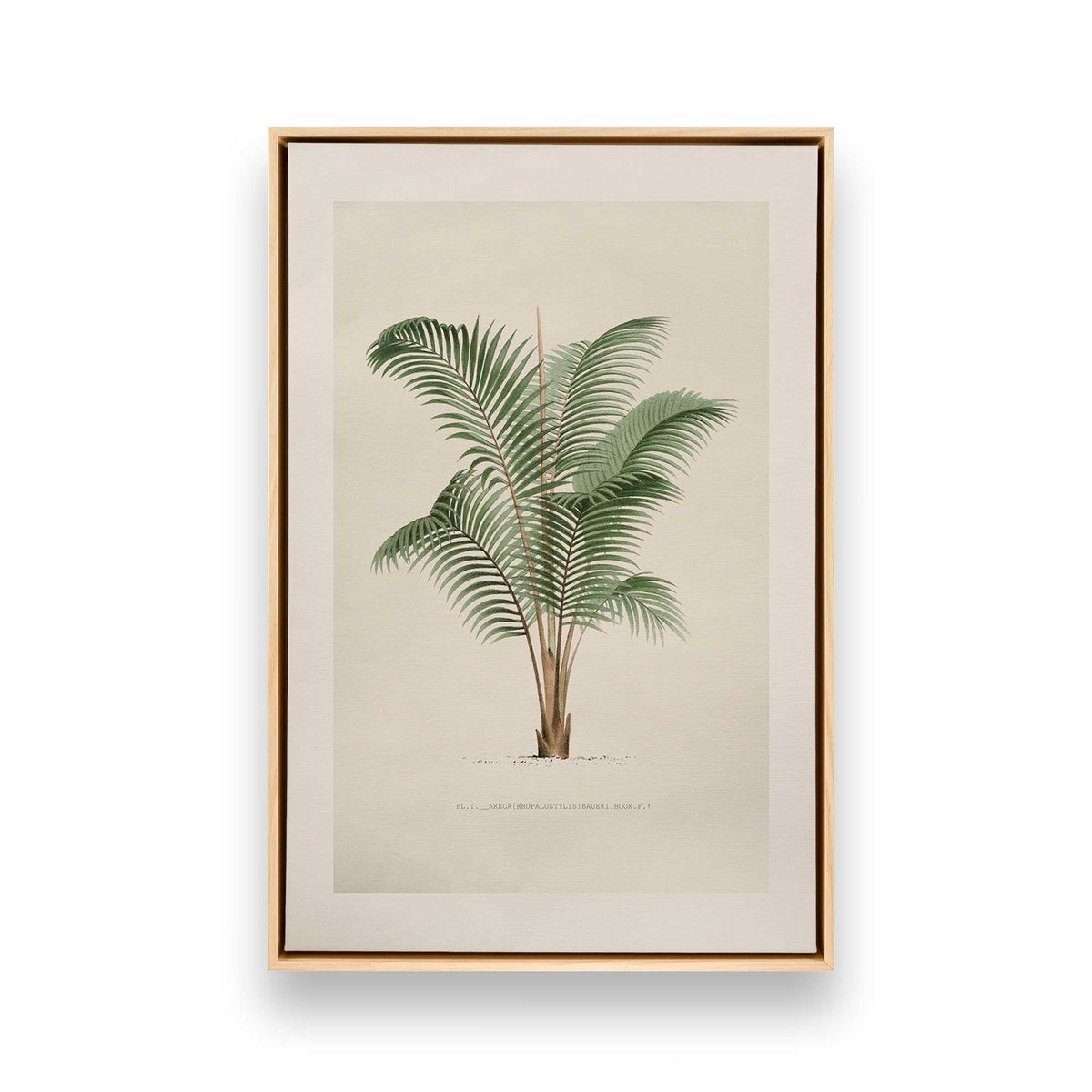 [Color:American Maple], Picture of art in a American Maple frame