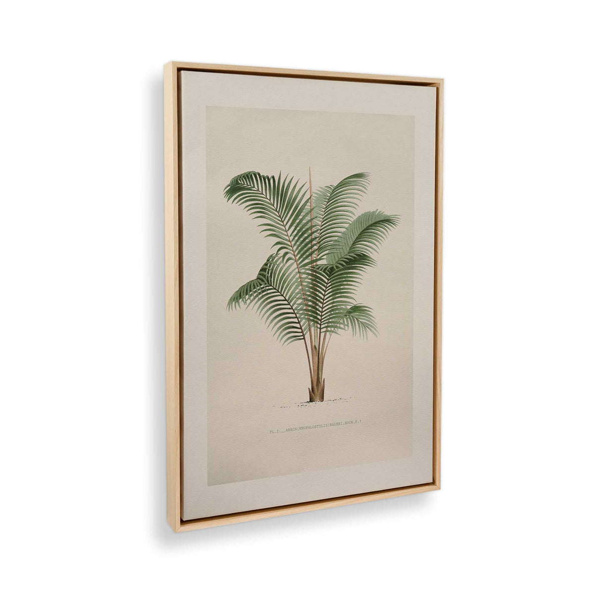 [Color:American Maple], Picture of the corner of the art