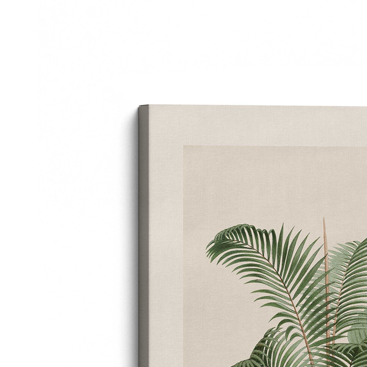 [Color:Stretched Canvas], Picture of the corner of the art