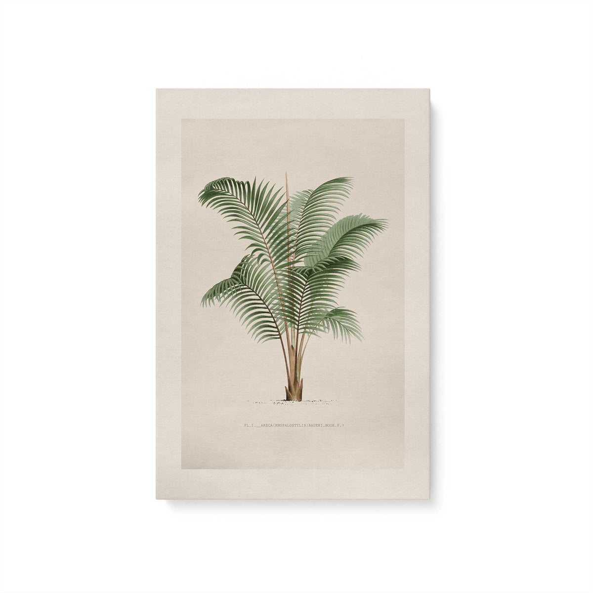 [Color:Stretched Canvas], Picture of art