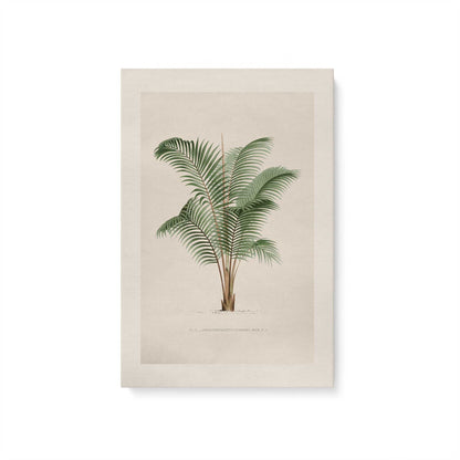 [Color:Stretched Canvas], Picture of art