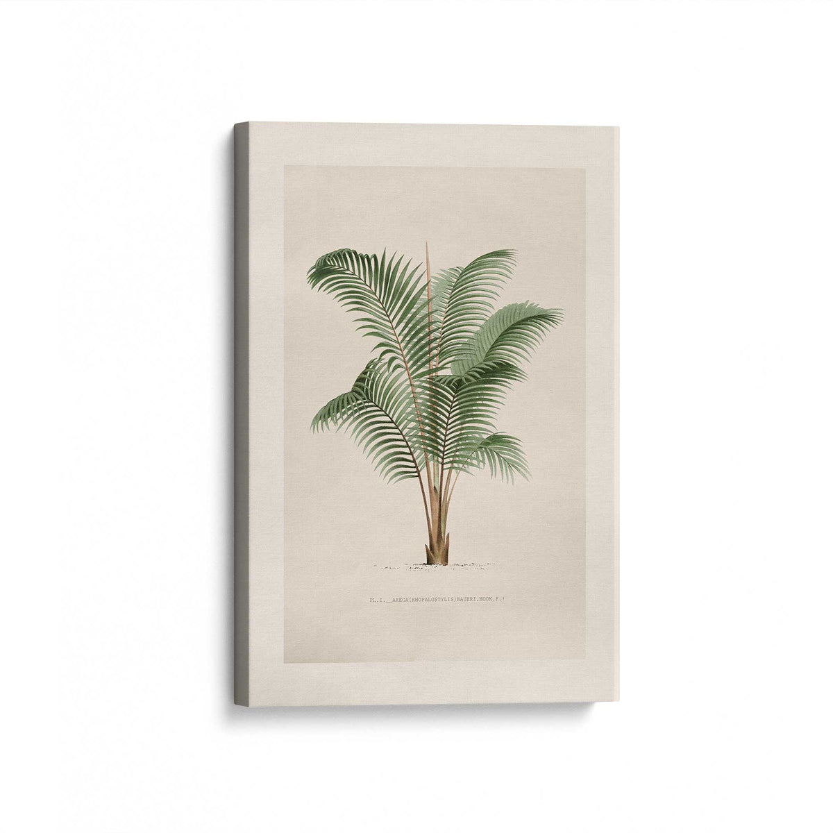 [Color:Stretched Canvas], Picture of art at an angle