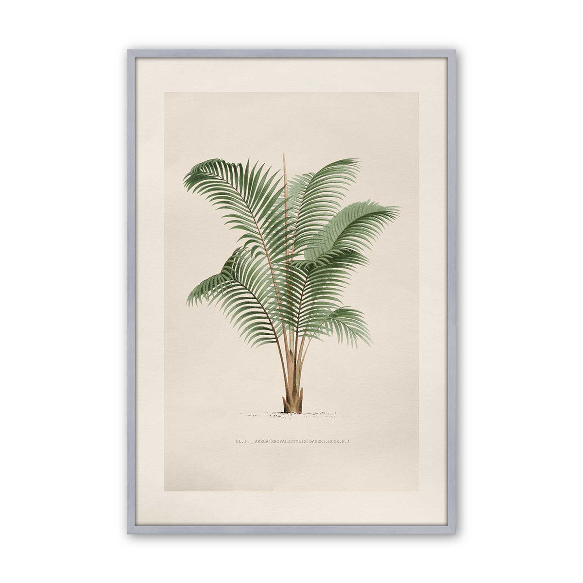 [Color:Polished Chrome], Picture of art in a Polished Chrome frame