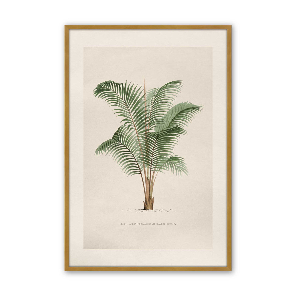 [Color:Polished Gold], Picture of art in a Polished Chrome frame