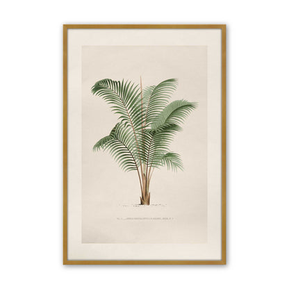 [Color:Polished Gold], Picture of art in a Polished Chrome frame