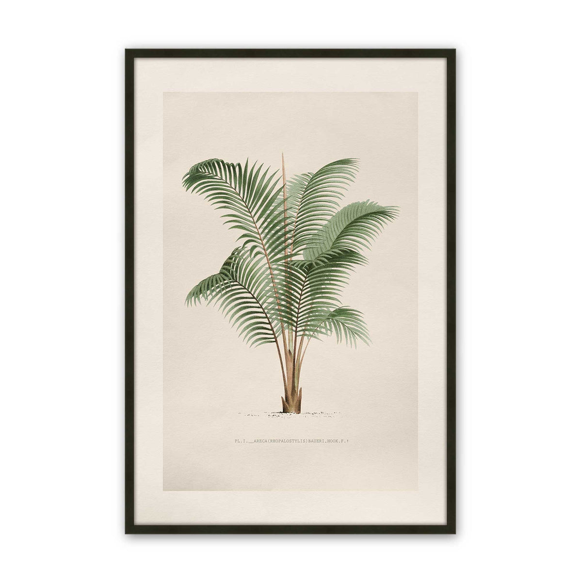 [Color:Satin Black], Picture of art in a Polished Chrome frame