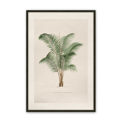 [Color:Satin Black], Picture of art in a Polished Chrome frame