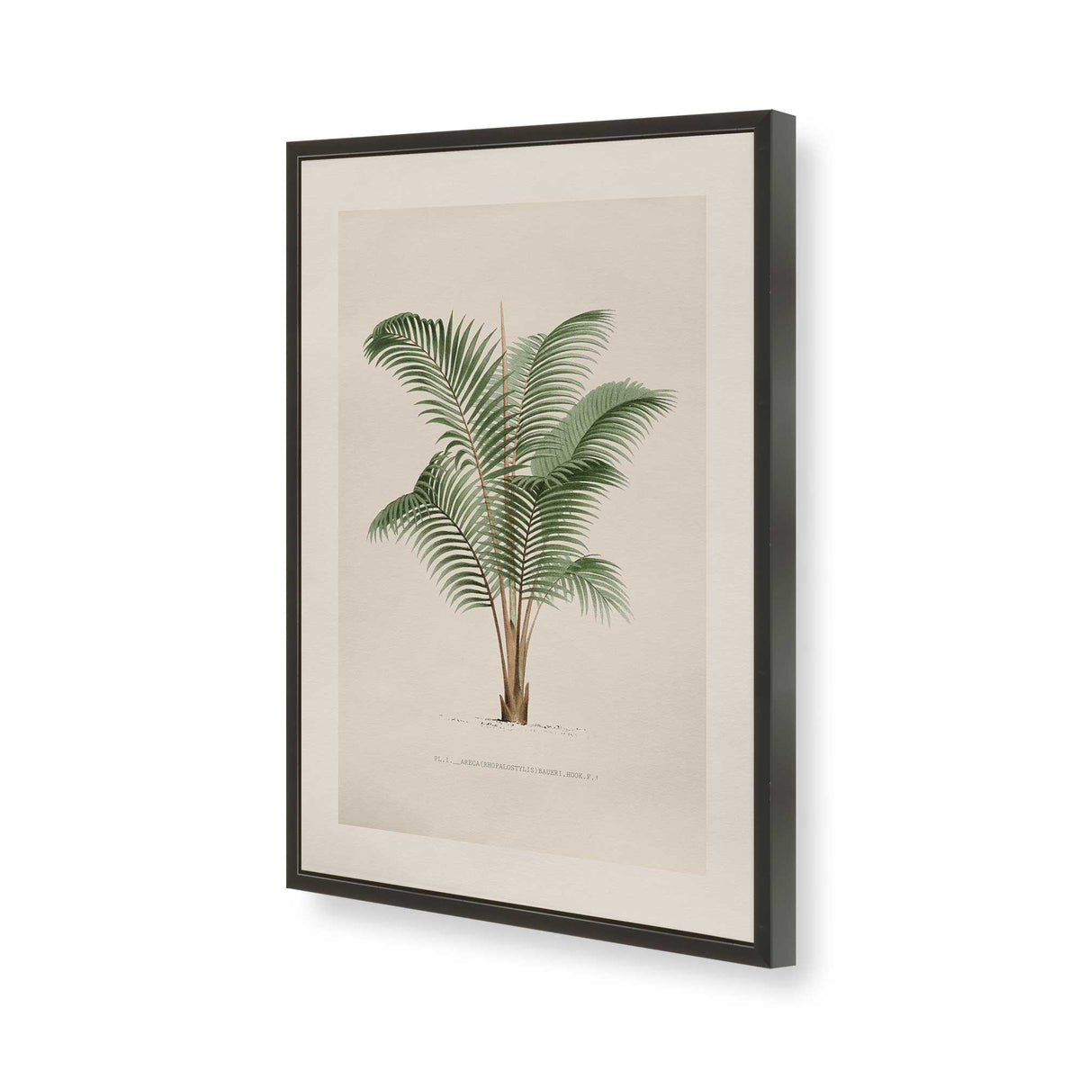 [Color:Satin Black], Picture of art in a Polished Chrome frame of the corner