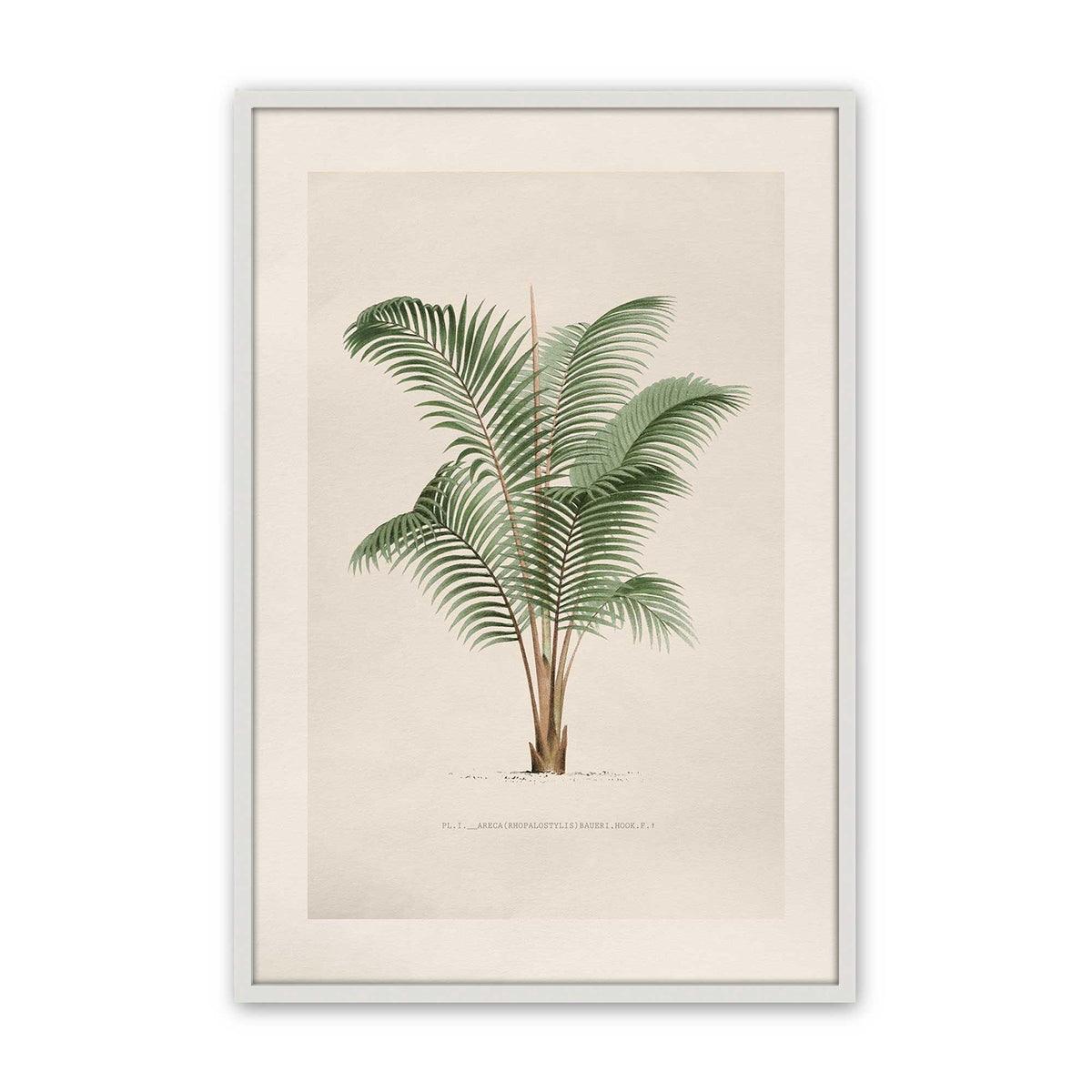 [Color:Opaque White], Picture of art in a Polished Chrome frame