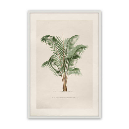 [Color:Opaque White], Picture of art in a Polished Chrome frame