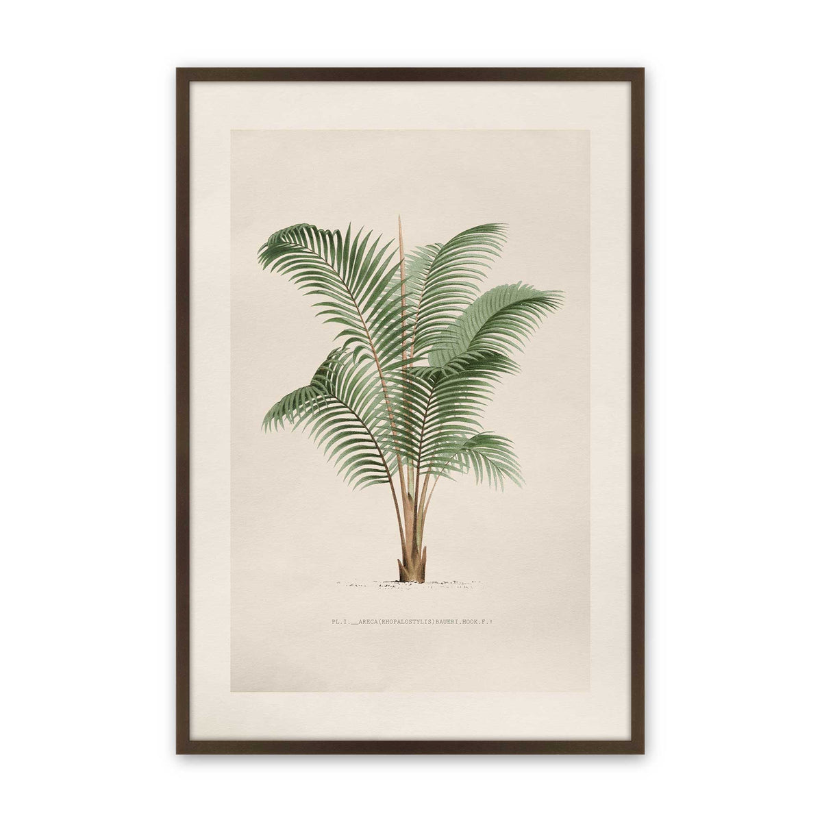 [Color:Belvinder Brown], Picture of art in a Polished Chrome frame