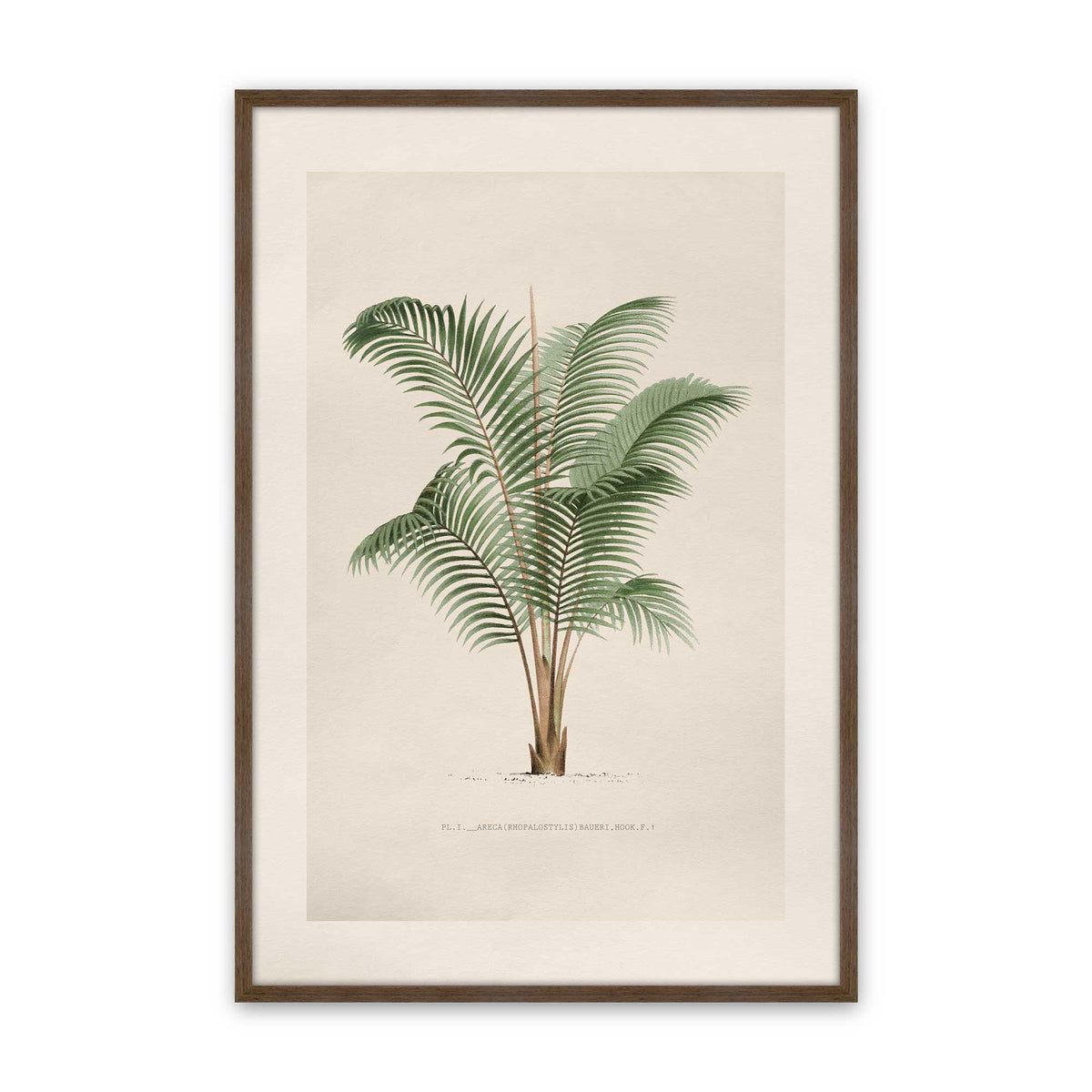 [Color:Walnut], Picture of art in a Polished Chrome frame