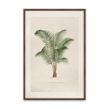 [Color:Walnut], Picture of art in a Polished Chrome frame