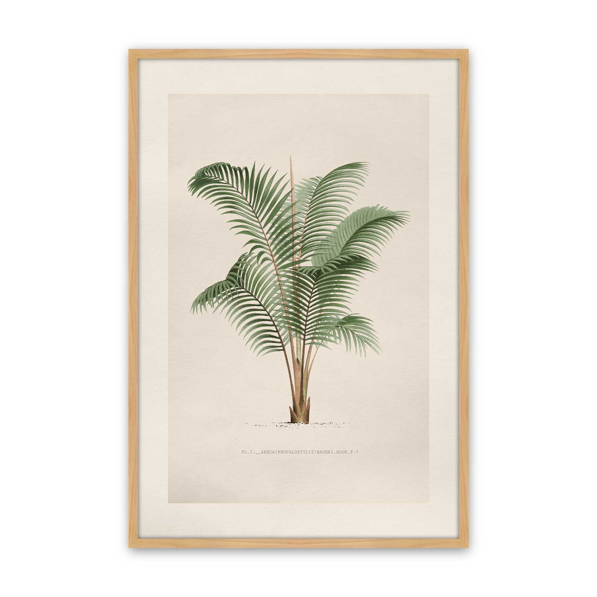 [Color:American Maple], Picture of art in a Polished Chrome frame