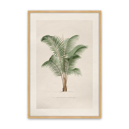 [Color:American Maple], Picture of art in a Polished Chrome frame