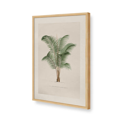 [Color:American Maple], Picture of art in a Polished Chrome frame of the corner