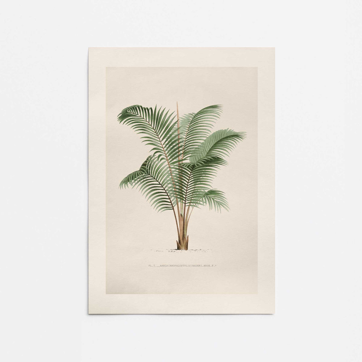 [Color:Rolled Print], Picture of close up of art