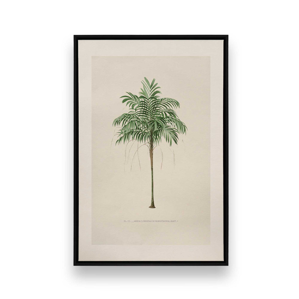 [Color:Satin Black], Picture of art in a Satin Black frame