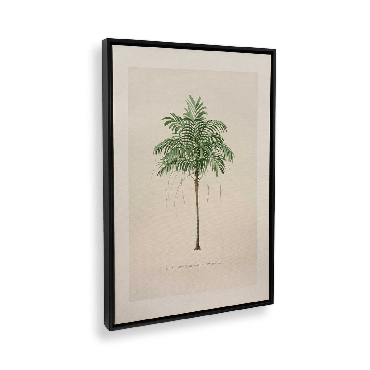 [Color:Satin Black], Picture of the corner of the art